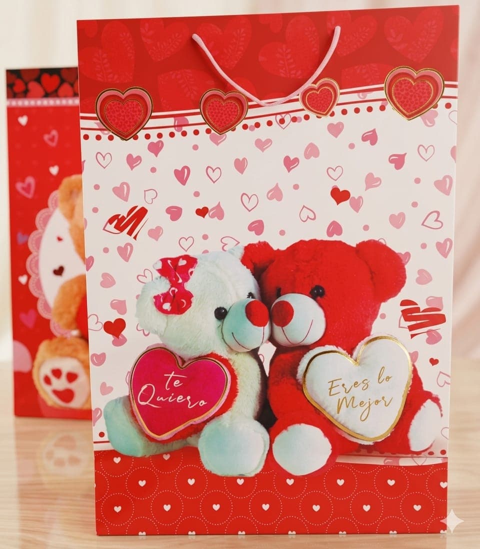 Bolsa De Regalo Talla Xl